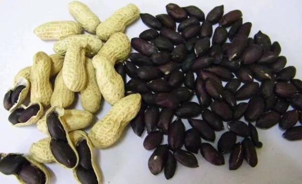 锌硒宝片误食过量