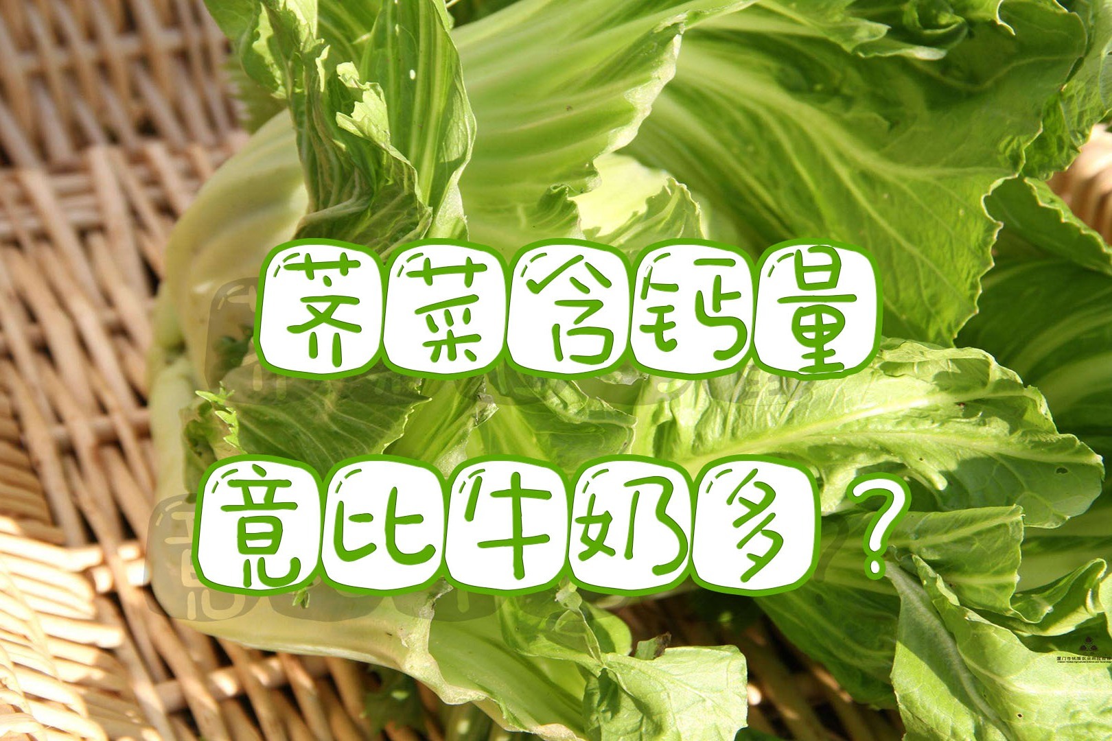 什么东西补钙最好