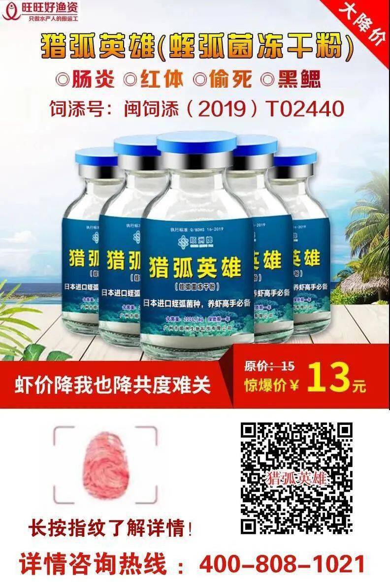 虾壳补钙吗
