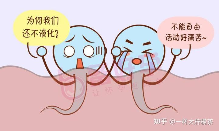 男士锌硒宝怎么吃