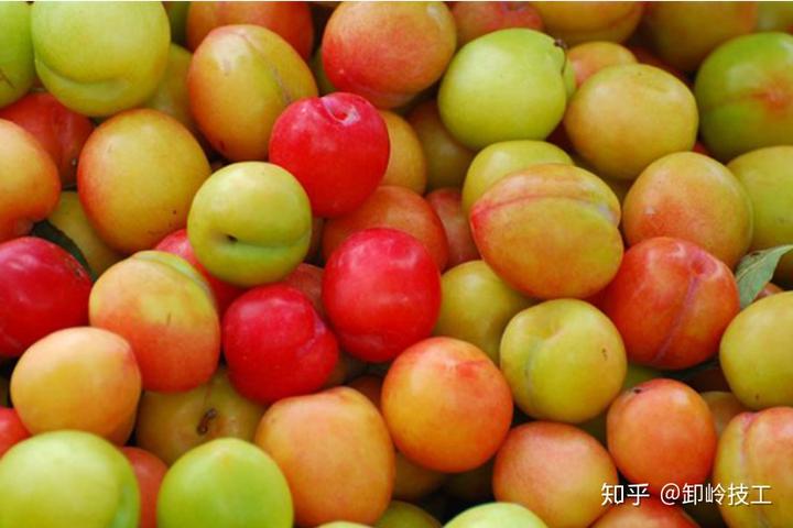 锌硒宝含量纯度高
