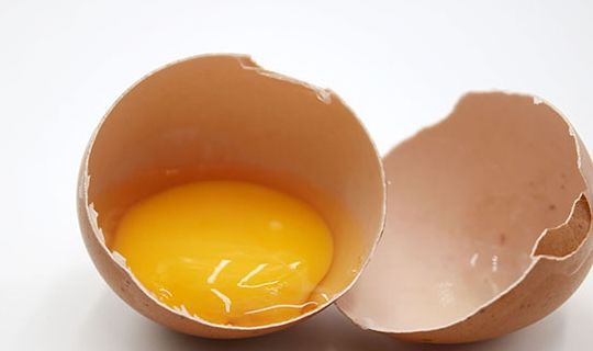 鸡蛋补铁吗