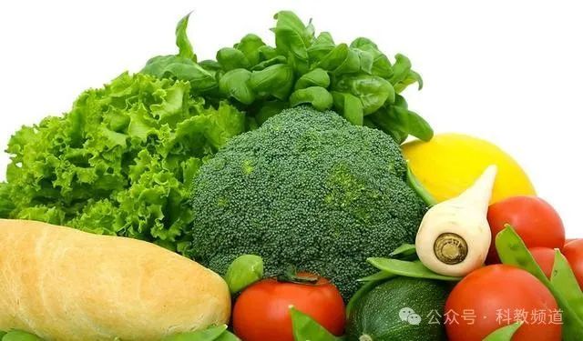 啥钙片补钙效果最好