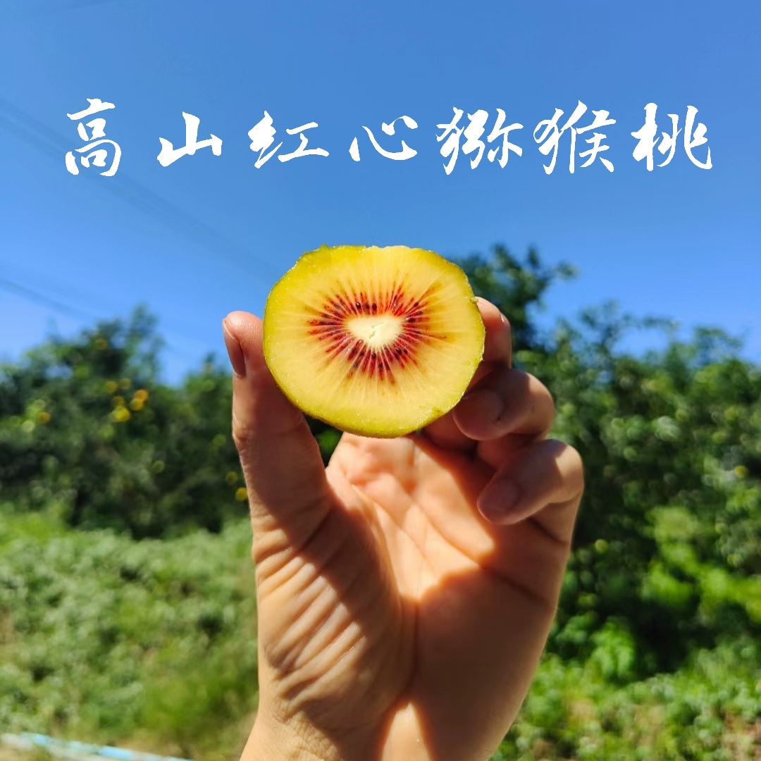 成年男性锌硒宝片