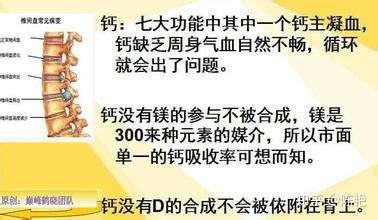 补钙的重要性