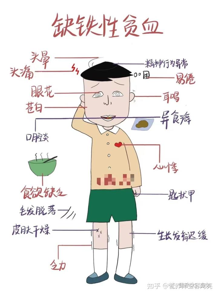 补铁药品