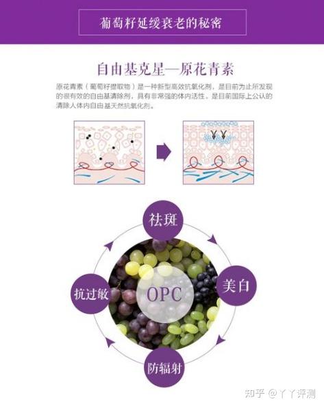 女人能吃硒锌宝吗