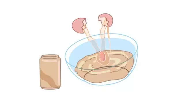 男性补锌能够壮阳是真的吗
