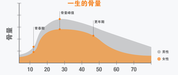 锌硒宝容易代谢吗
