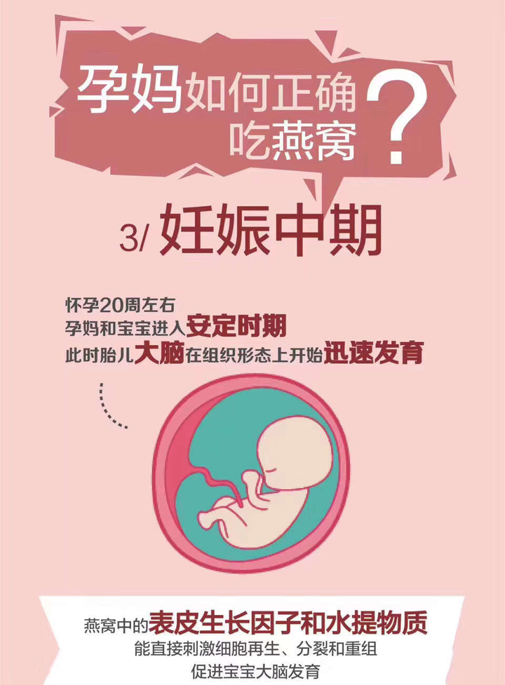 孕期什么时候补铁最好