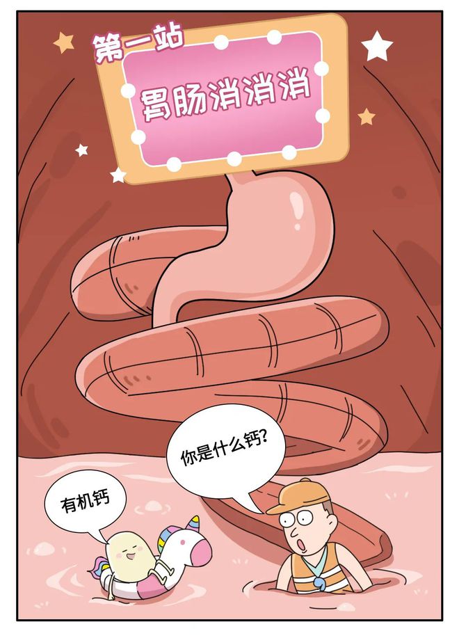 鸡蛋皮能补钙吗