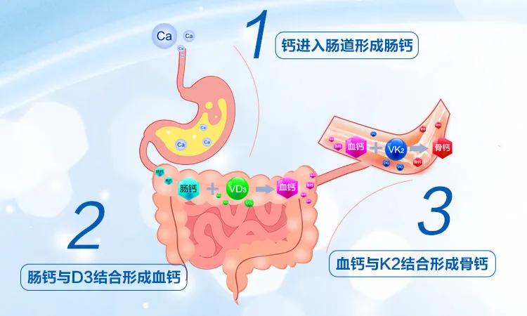 鸡蛋皮能补钙吗