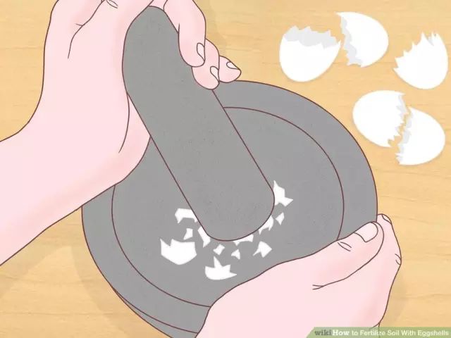 鸡蛋壳可以补钙吗