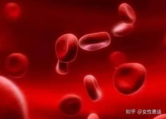桂圆补铁吗