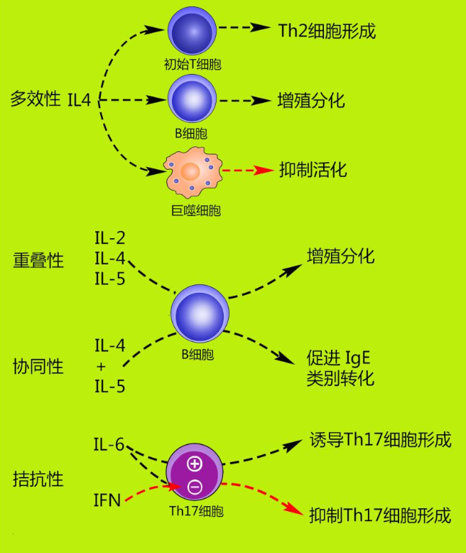 转移因子和锌硒宝