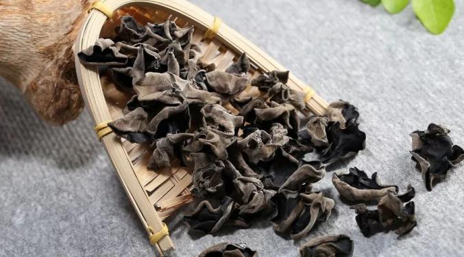 高血压可以补钙吗