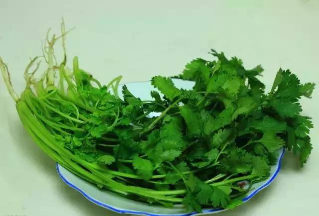 硒锌宝能治痘痘吗