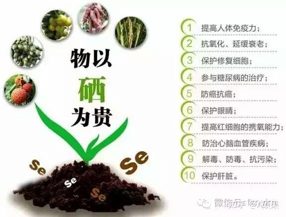 锌硒宝记忆力减退