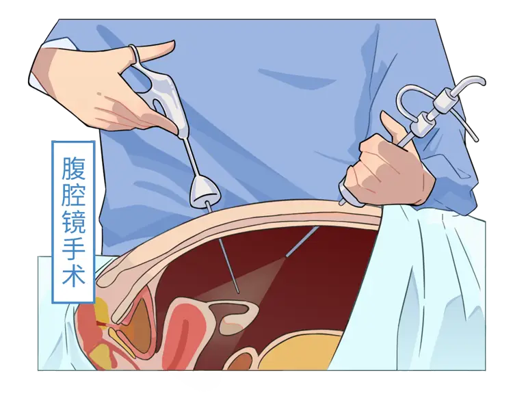 男士男宝备孕锌硒