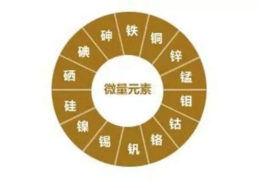 人体中微量元素