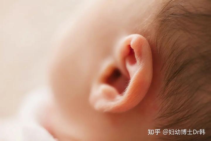 吃什么补铁蛋白