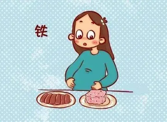 孕晚期吃什么补铁