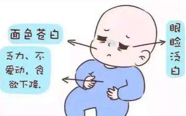 怎么补铁蛋白