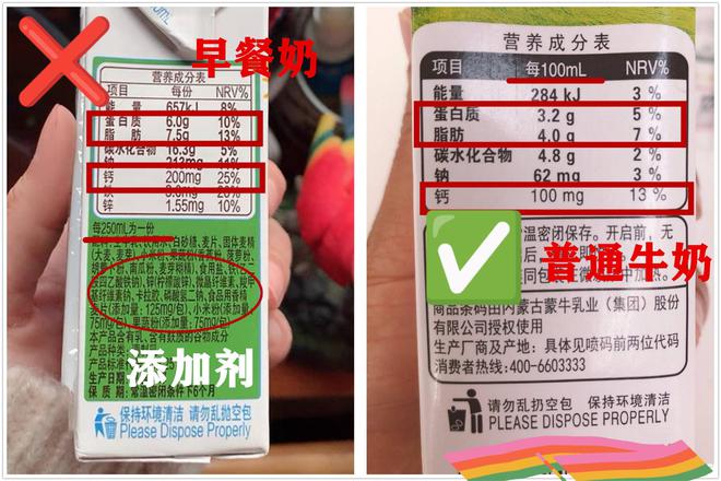 什么是补钙的食物