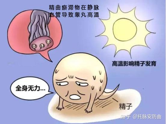 紫一商城锌硒宝片