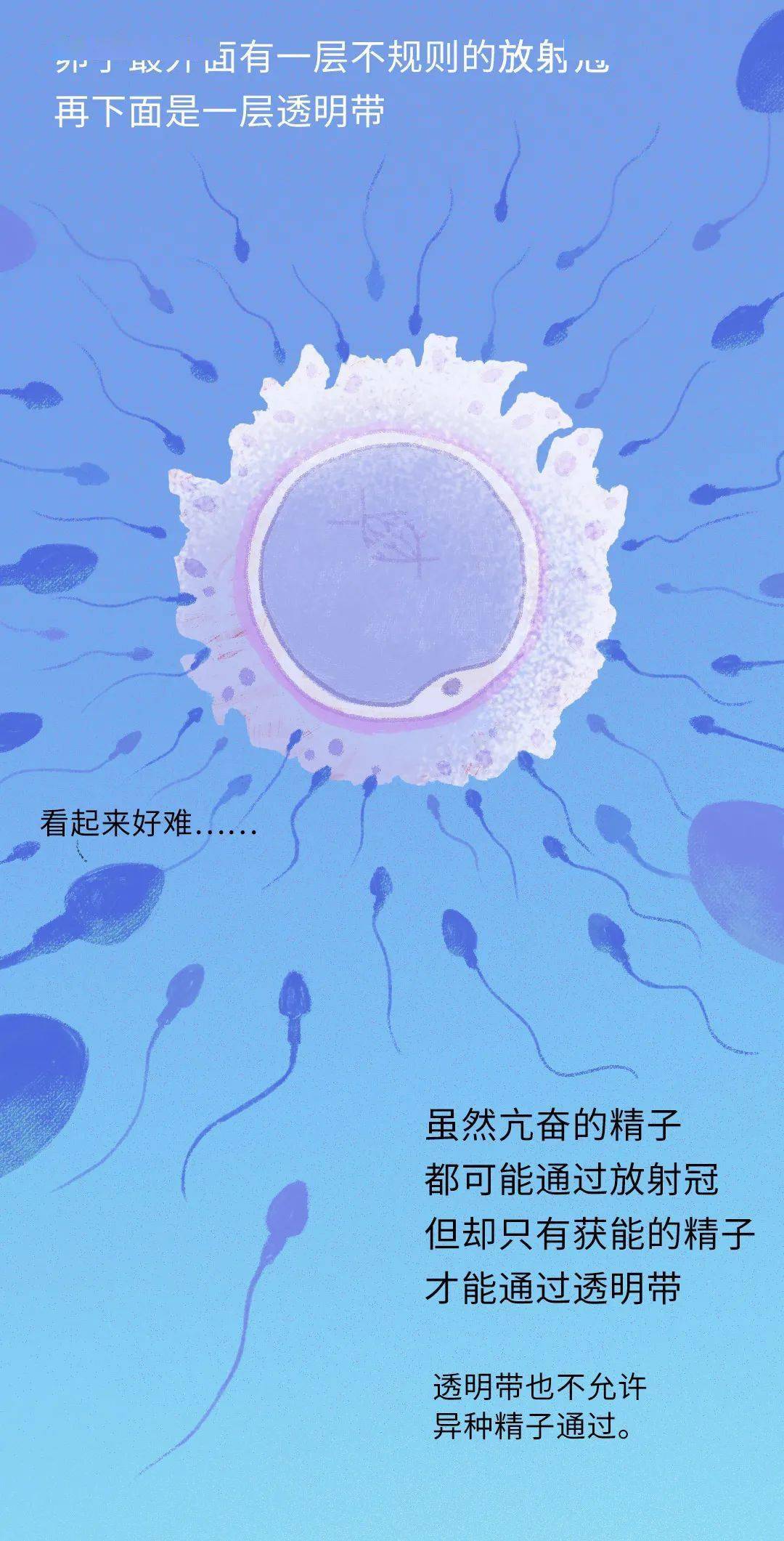 精子活力低补锌补硒