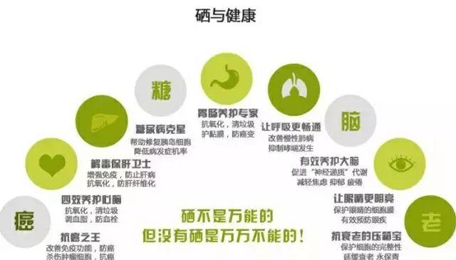 补硒能改善梅毒吗吗