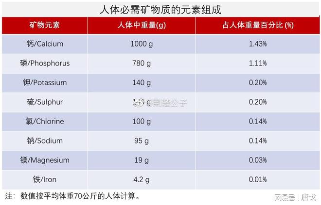人体微量元素