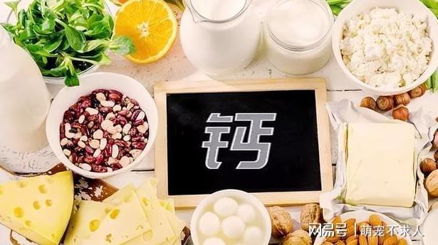 老年人补钙吃什么钙片好