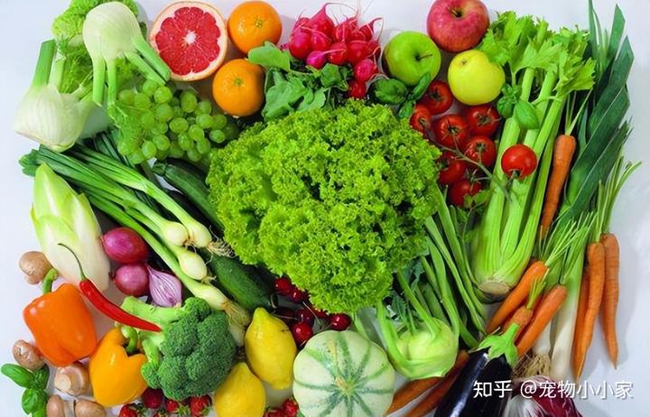 补钙的最佳食物