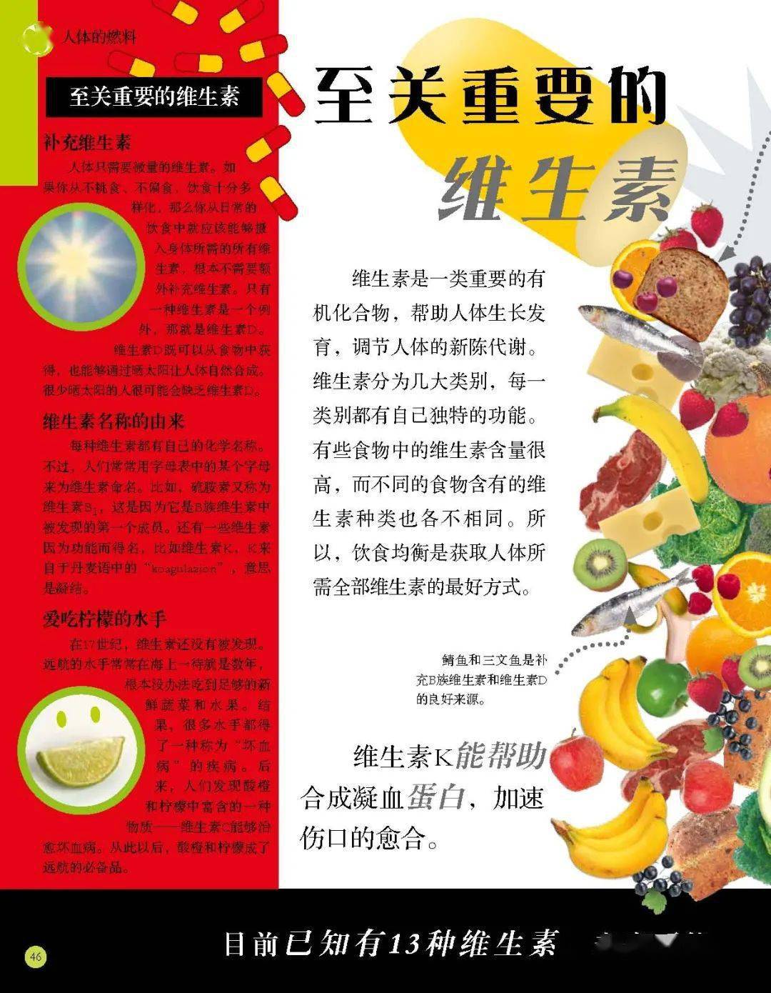 哪些食物补钙效果好