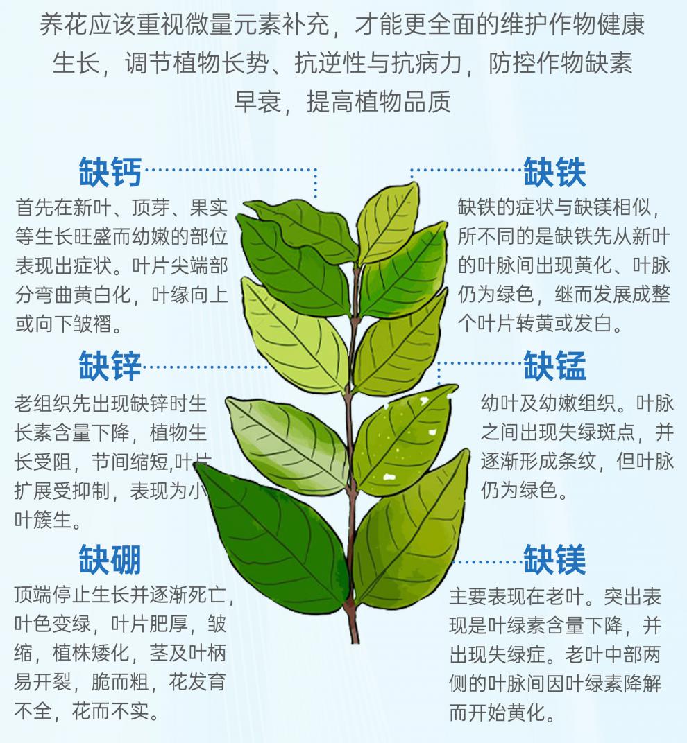 中微量元素