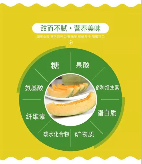 中微量元素