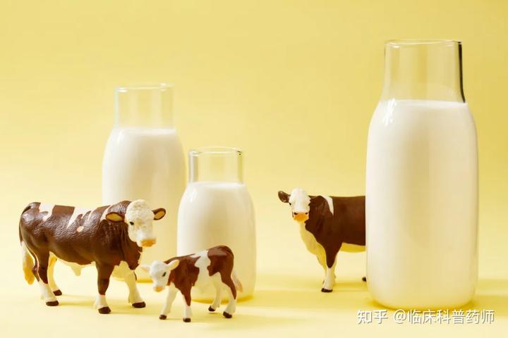 牛奶能补钙吗