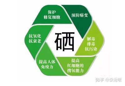 中国人有必要补硒吗