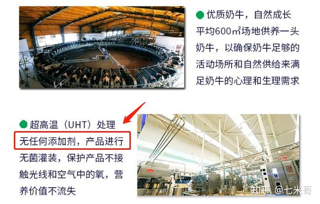 哪种牌子牛奶补钙最好