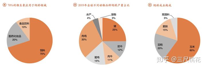 人用的补硒药有什么