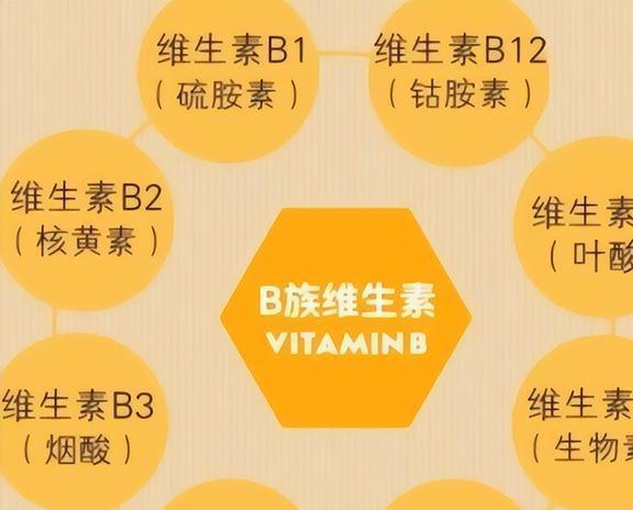 微量元素有哪些