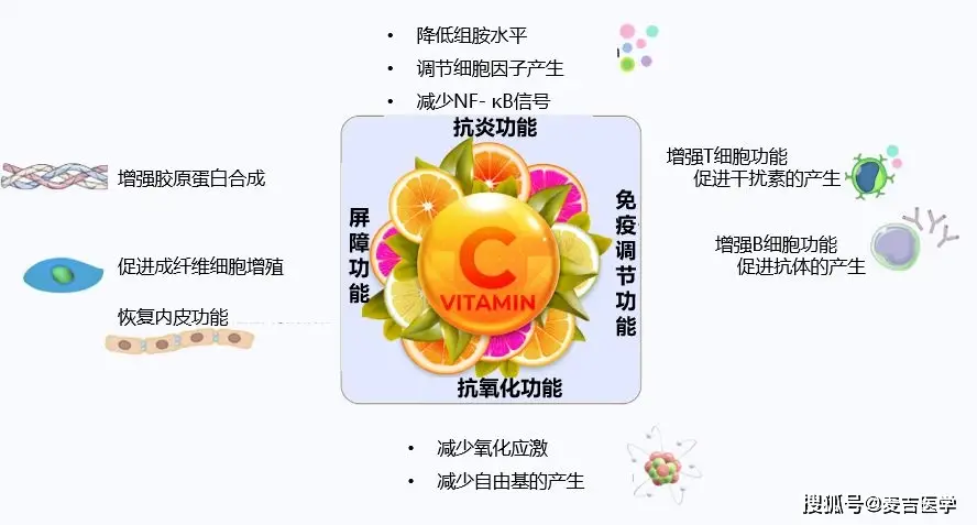 微量元素有哪些