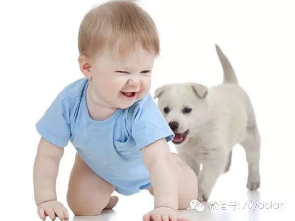 儿童 微量元素