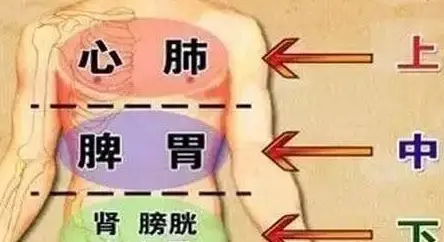 怎么补铁