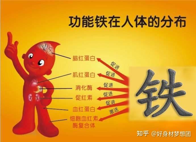 补钙可以长高吗