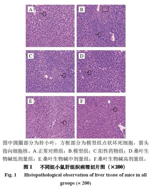 补硒是吃硒酵母片吗