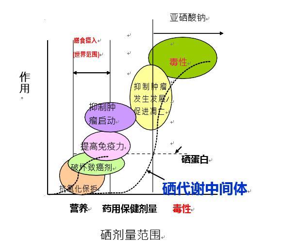 癌症补硒怎么补的好