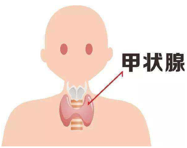 甲状腺结节补硒好吗