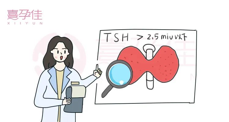 桥本甲状腺补哪种硒